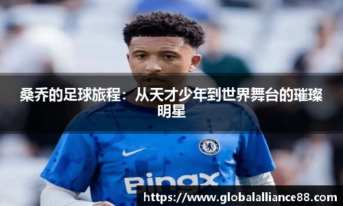 球速体育官方网站